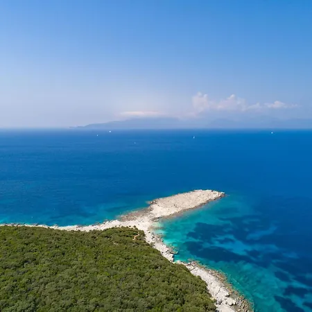 Allegra * Tzamarelata